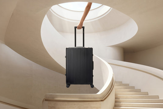Check-In Luggage-5